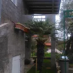 Appartement By The Sea Dobropoljana, Pasman - 11562